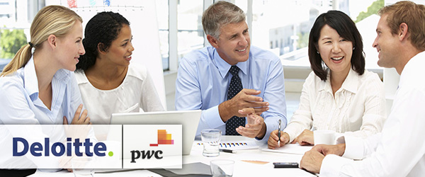 Werknemers - Deloitte en PwC